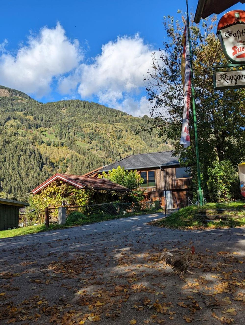 Chalet Schmelz Huette Mit Sauna Und Garten Flattach Zewnętrze zdjęcie